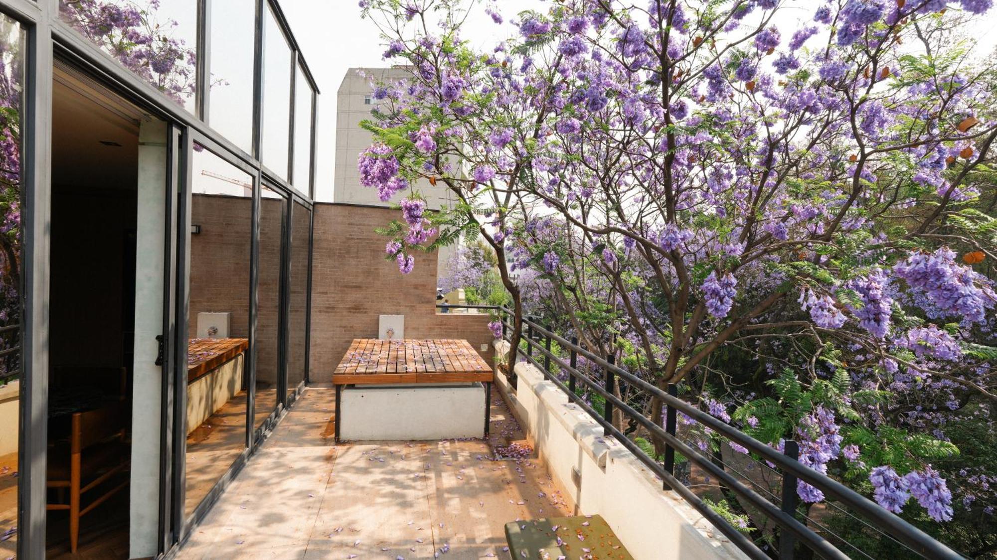 Rodona Hotel Mexico City Luaran gambar