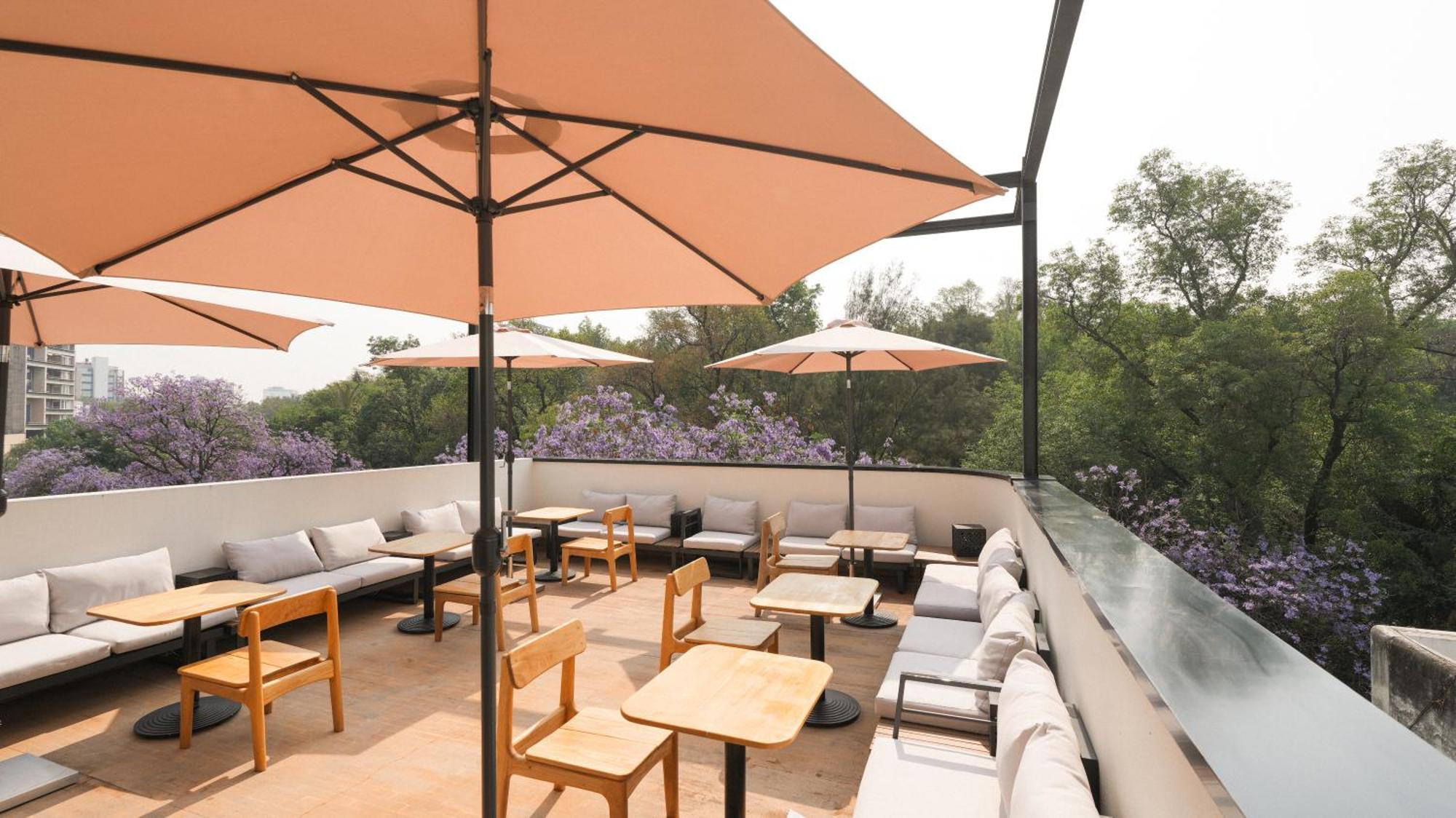 Rodona Hotel Mexico City Luaran gambar